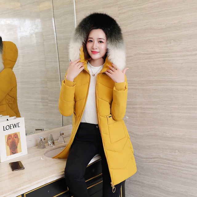 Áo phao mủ lông hai màu