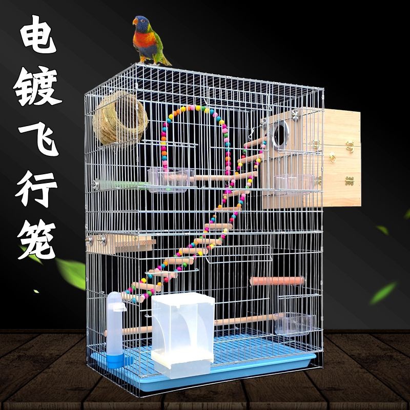Lồng chim vẹt Chiều cao trung bình và lớn bay Mạ sáo Hoa mẫu đơn Da hổ Màu đen Phượng hoàng Đậm giống kim loại