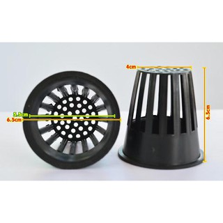 Bộ 100 rọ nhựa 65x63mm trồng rau thủy canh cho ống pvc 90 màu trắng