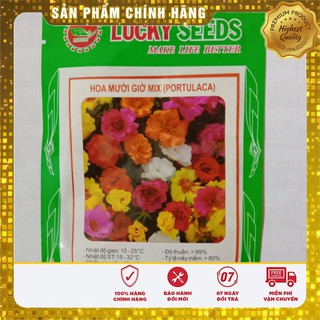 Hạt Giống Hoa Mười Giờ (30 hạt)