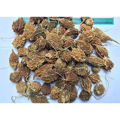 [1kg] KHỔ QUA RỪNG (MƯỚP ĐẮNG ) _SẤY KHÔ 100%