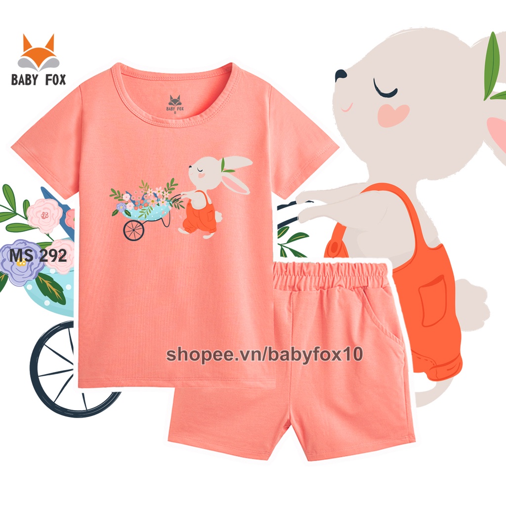 Bộ bé gái size nhỏ, trung, đại 100% cotton cao cấp, thương hiệu BABY FOX, hình mèo, thỏ đáng yêu g