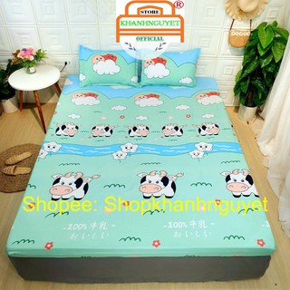 Bộ 1 ga 2 vỏ gối poly cotton hàng y ảnh