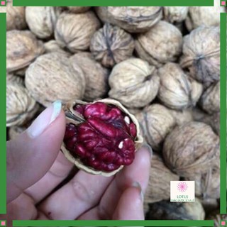 1 Kg quả óc chó đỏ Mỹ date mới nhất ngon xịn