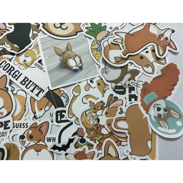 Bộ 50 Sticker hình dán chó Corgi, hình dán thú cưng dễ thương, hình dán laptop, hình dán nón bảo hiểm