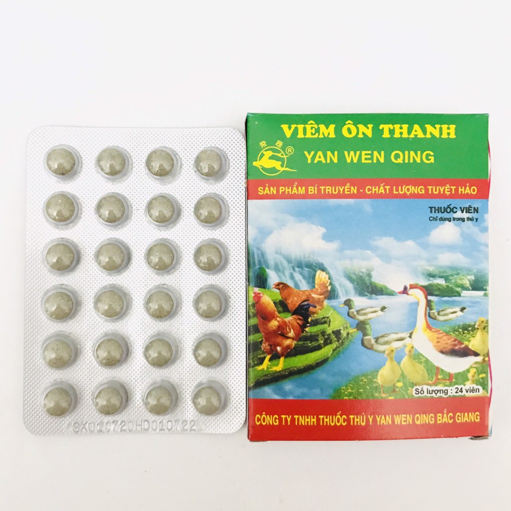 VIÊM ÔN THANH - VỈ 24 VIÊN - PHÒNG CÁC BỆNH CHO GÀ