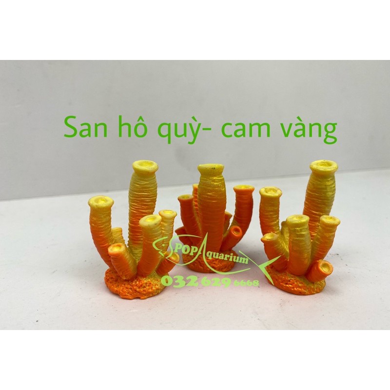 San hô trang trí bể cá nhỏ