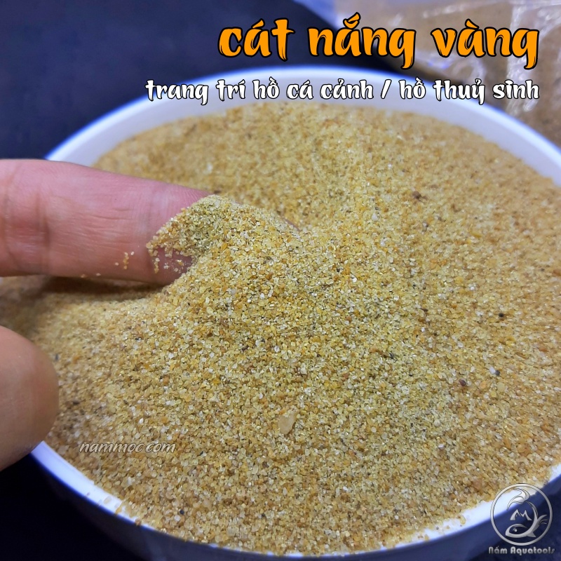 Cát Nắng Vàng Trải Nền Bể Thuỷ Sinh | Cát Trang Trí Bể Cá Cảnh, Thuỷ Sinh