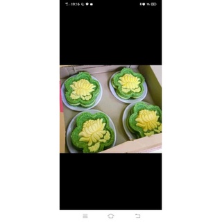 khuôn xôi cúc đại đoá