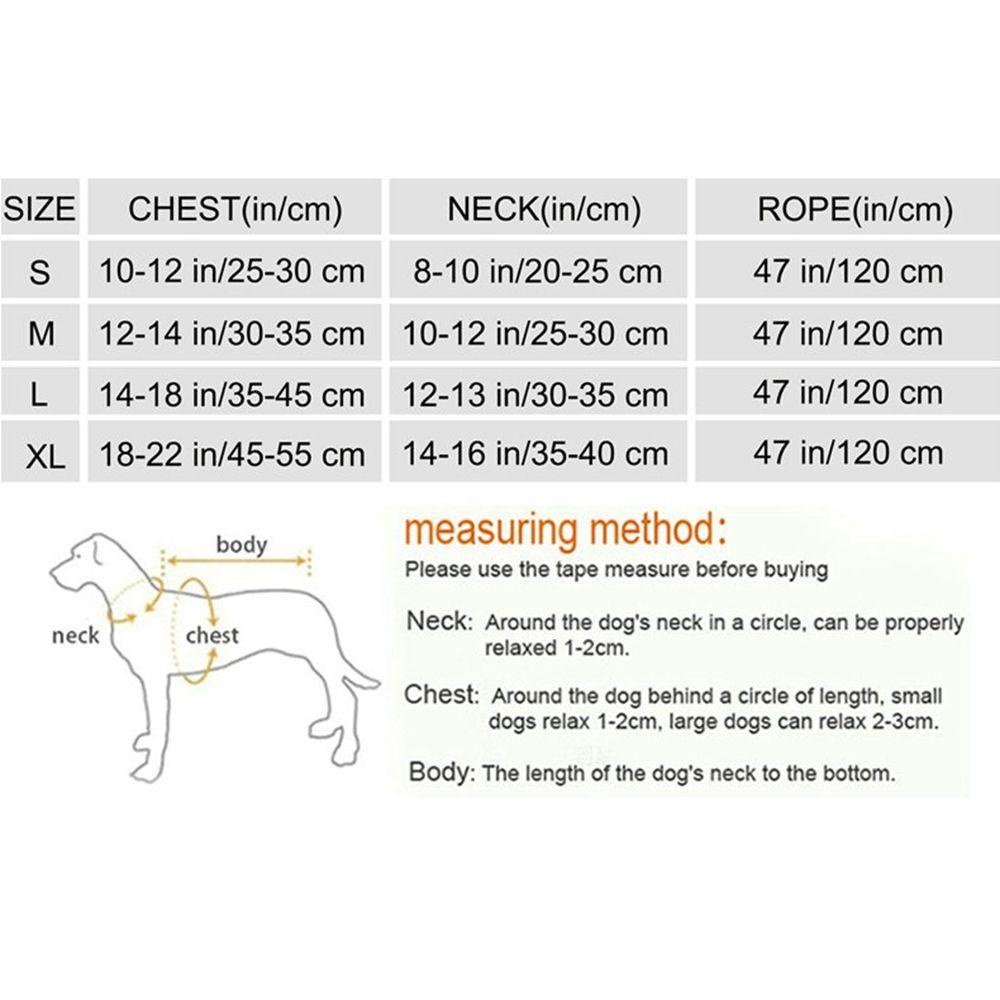 Dây Dắt Chó AUGUSTINA Lấp Lánh|Vòng Cổ MềM MạI Cho Thú Cưng Chihuahua Yorkie