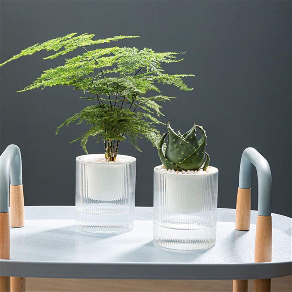 Chậu Trồng Cây Thủy Canh Hấp Thụ Nước Tự Động Kèm Khay Để Bàn Trang Trí