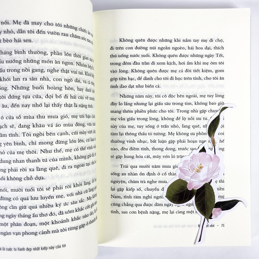 Sách - Người Là Cuộc Tu Hành Đẹp Nhất Kiếp Này Của Tôi (Kèm ảnh và Bookmark)