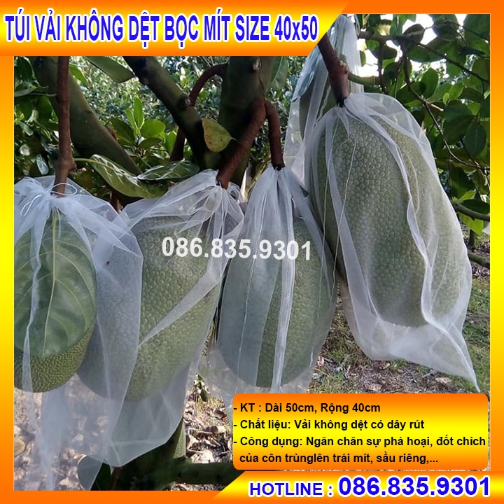 20 TÚI BỌC TRÁI MÍT TRÁNH SỰ CHÂM CHÍCH CỦA CON TRÙNG SIZE 45x60