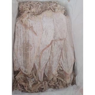 Mực khô câu vân đồn size to 10-15, chất lượng,mực khô ngon, khô mực ngon - hadongfoods