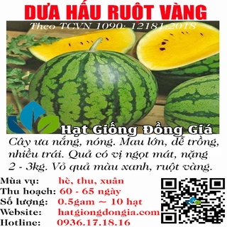 0,5 gram hạt giống dưa hấu vỏ xanh ruột vàng