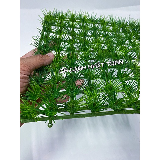 THẢM CỎ NHỰA KIM TRANG TRÍ HỒ CÁ 25X25CM