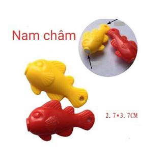 NAM CHÂM CÂU CÁ HÌNH RÙA, CÁ