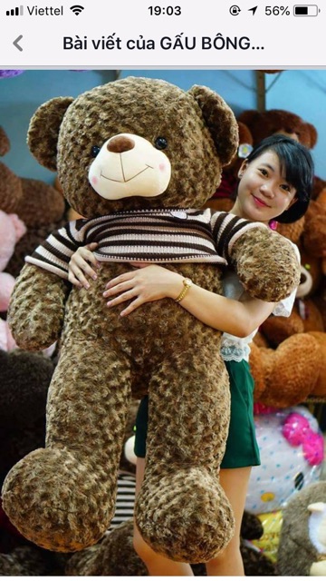 Gấu bông Teddy khổ vải 1m6 (Size thật 1m4)