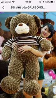 Gấu bông Teddy khổ vải 1m( Size thật 80cm)