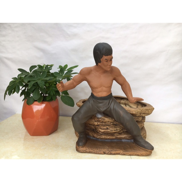 Chậu tượng Lý Tiểu Long