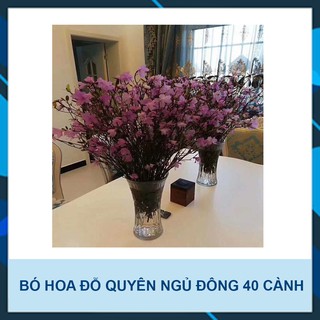 Bó Hoa Đỗ Quyên Ngủ Đông 40 Cành