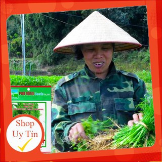 - Hạt Giống Thì Là Phú Nông chất lượng.