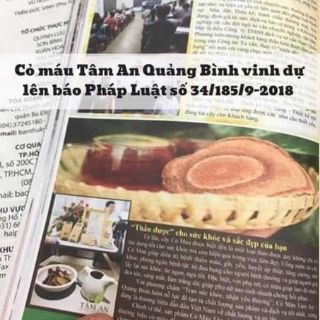 CỎ MÁU TÂM AN