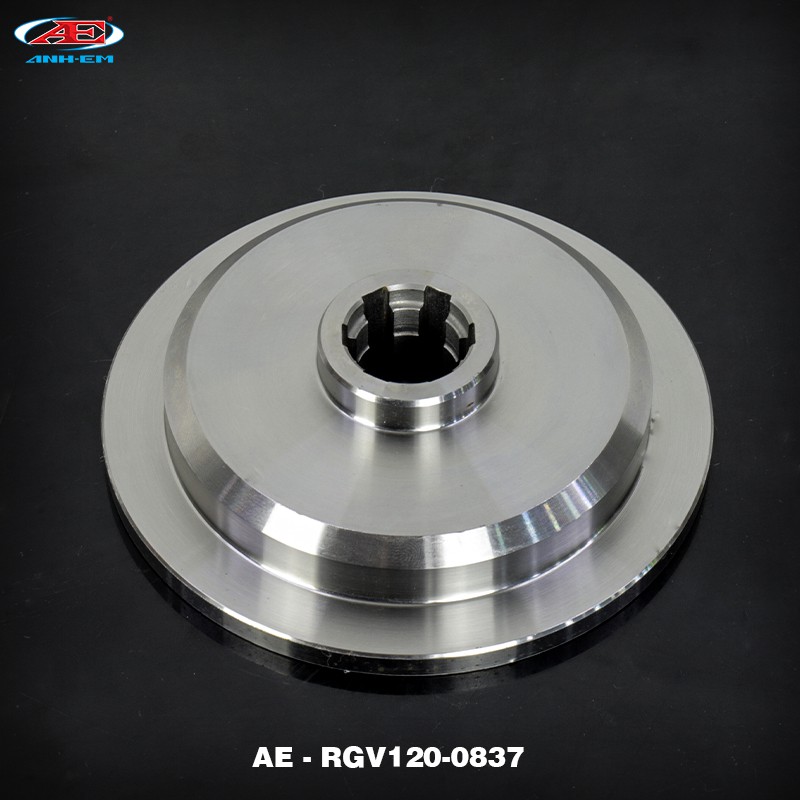 Tạ RGV (TR) (RG/RGV/ST2K)  SUZUKI SPORT - SU XIPO - RG 110 - RGV 120 - SATRIA 2000