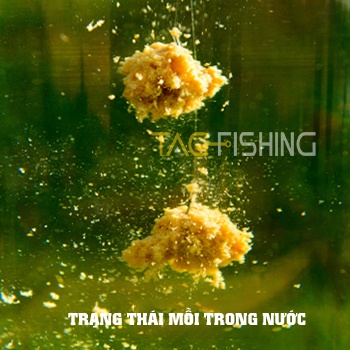 Mồi Đông Lạnh Lão Quỷ