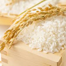 Tấm Đài Loan Dẻo Túi 5kg