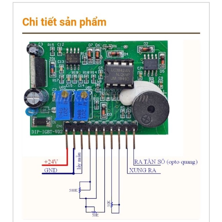 bo lái igbt