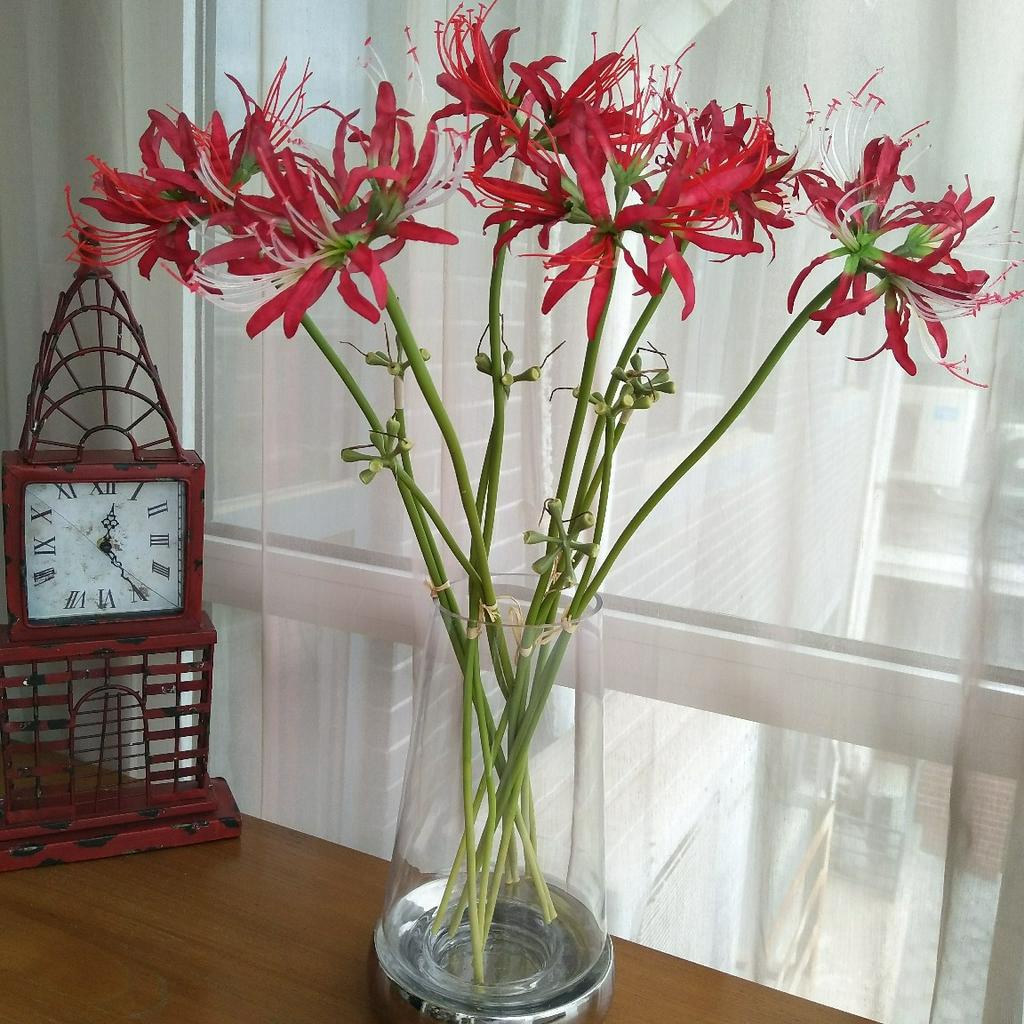 Bianhua manzhu shahua hoa giả trang trí phòng khách gia đình đạo cụ chụp ảnh chụp ảnh đám cưới Hoa Giả Hoa LụA Hoa nhân tạo