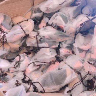 Tất gấu gấu siêu cute 50 đôi