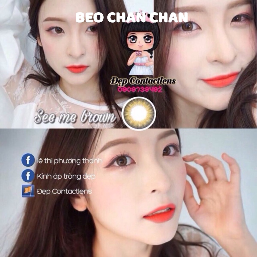 Kính áp tròng Vassen - See me nâu - có độ cận