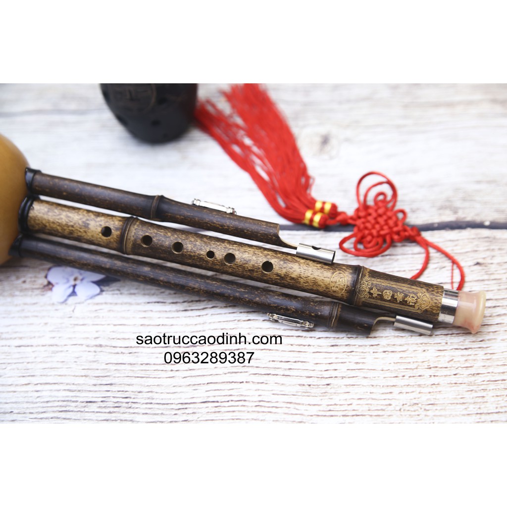 Sáo Bầu SB3 - Sáo Bầu quả thật