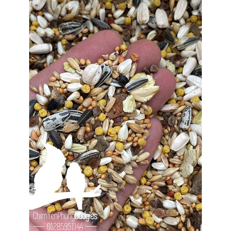 BIG PARAKEETS (gói 2KG nguyên seal) Thức ăn hỗn hợp cho vẹt Lovebird • SunConure • Cockatiel - xuất xứ: Ý 🇮🇹🇮🇹🇮🇹