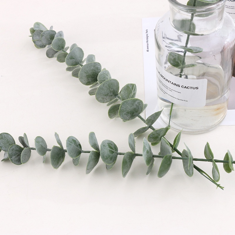 Eucalyptus Plant INS Eucalyptus Leaf Restaurant Room Desktop Decoration Photo Props