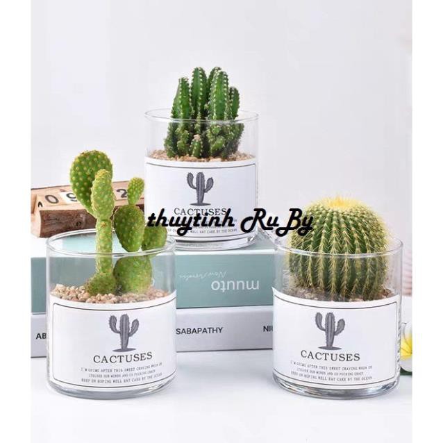 Bình Bông Lọ Hoa Trang Trí Trụ Tròn 10X10, Bình Cắm Hoa, Lọ Hoa Thủy Tinh Trụ Tròn, Lọ Đèn Cầy