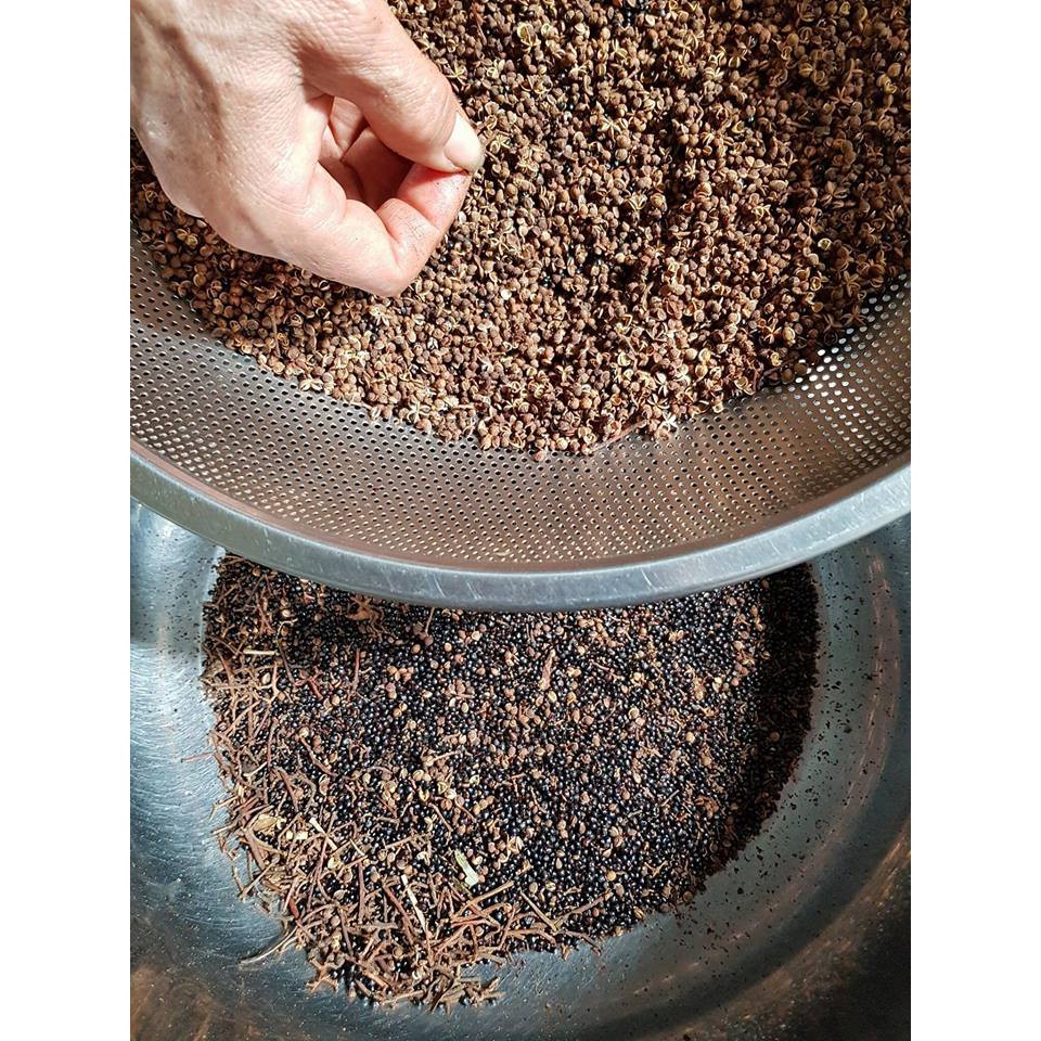 combo hạt mắc khén + hạt dổi rừng | BigBuy360 - bigbuy360.vn