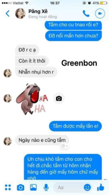 Tràm trà greenbon