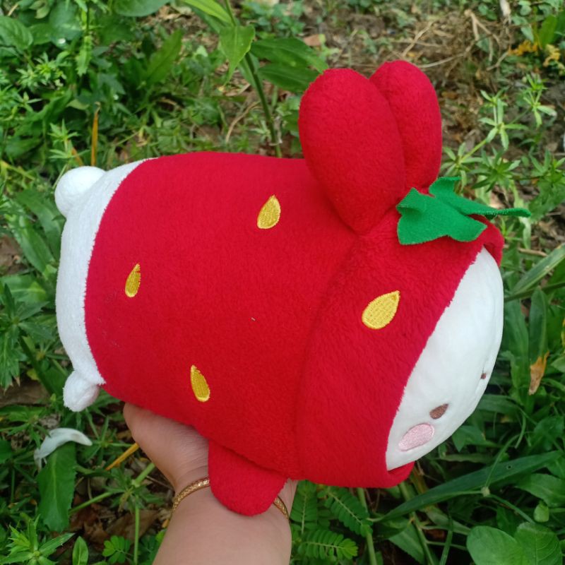 Gấu bông molang 25cm