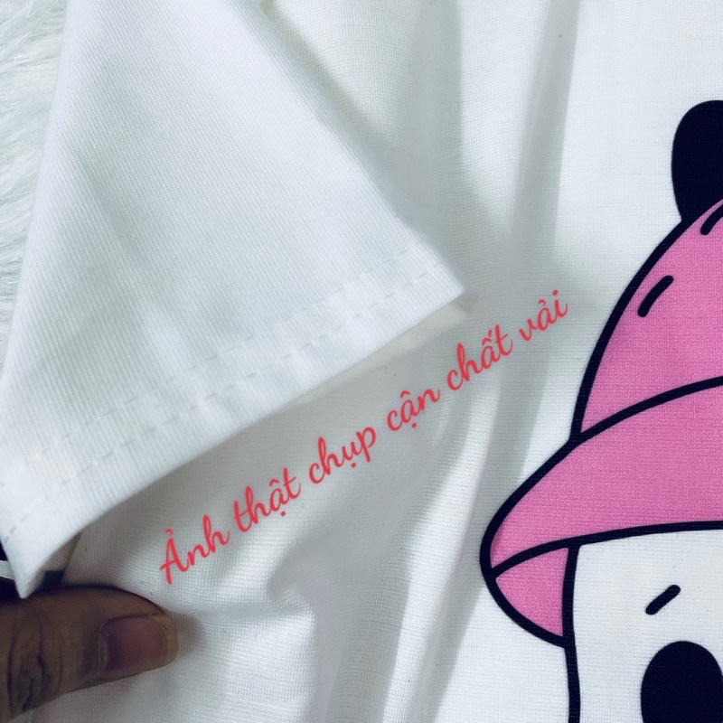 ÁO THUN TAY LỠ FORM RỘNG ⚡Free Ship⚡ Tổng hợp Áo phông nữ tay lỡ form rộng in hìnhh dễ thương | BigBuy360 - bigbuy360.vn