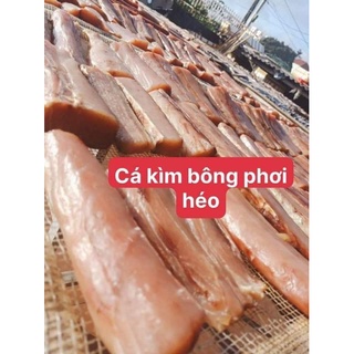 CÁ KÌM BÔNG PHƠI HÉO 500G