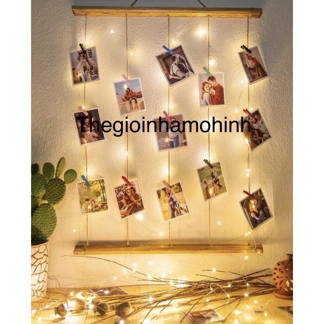 Cành gỗ treo ảnh decor trang trí không gian