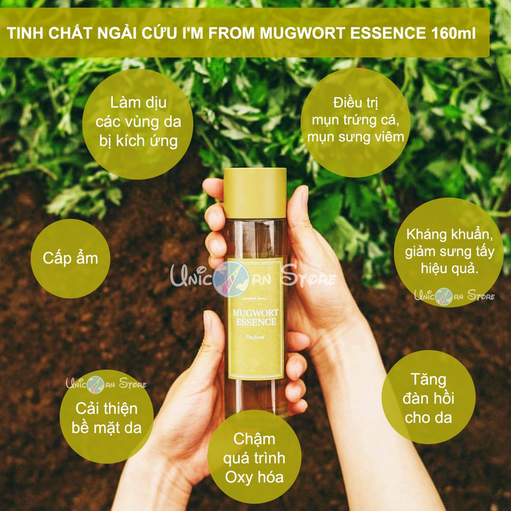 Tinh Chất Ngải Cứu Làm Dịu và Dưỡng Ẩm I'm From Mugwort Essence 160ml