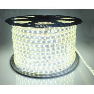 Đèn LED dây 5050 10m
