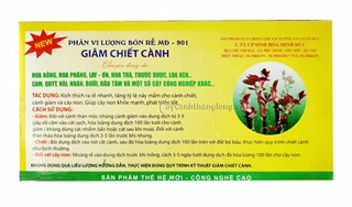 Dung dịch giâm chiết chiết cành (10 ống)
