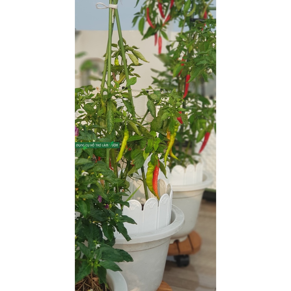 Hàng rào nhựa sân vườn, Nhật Bản, dài 3met cao 15cm trắng, hàng rào viền vườn, hàng rào nhựa, viền vườn rau