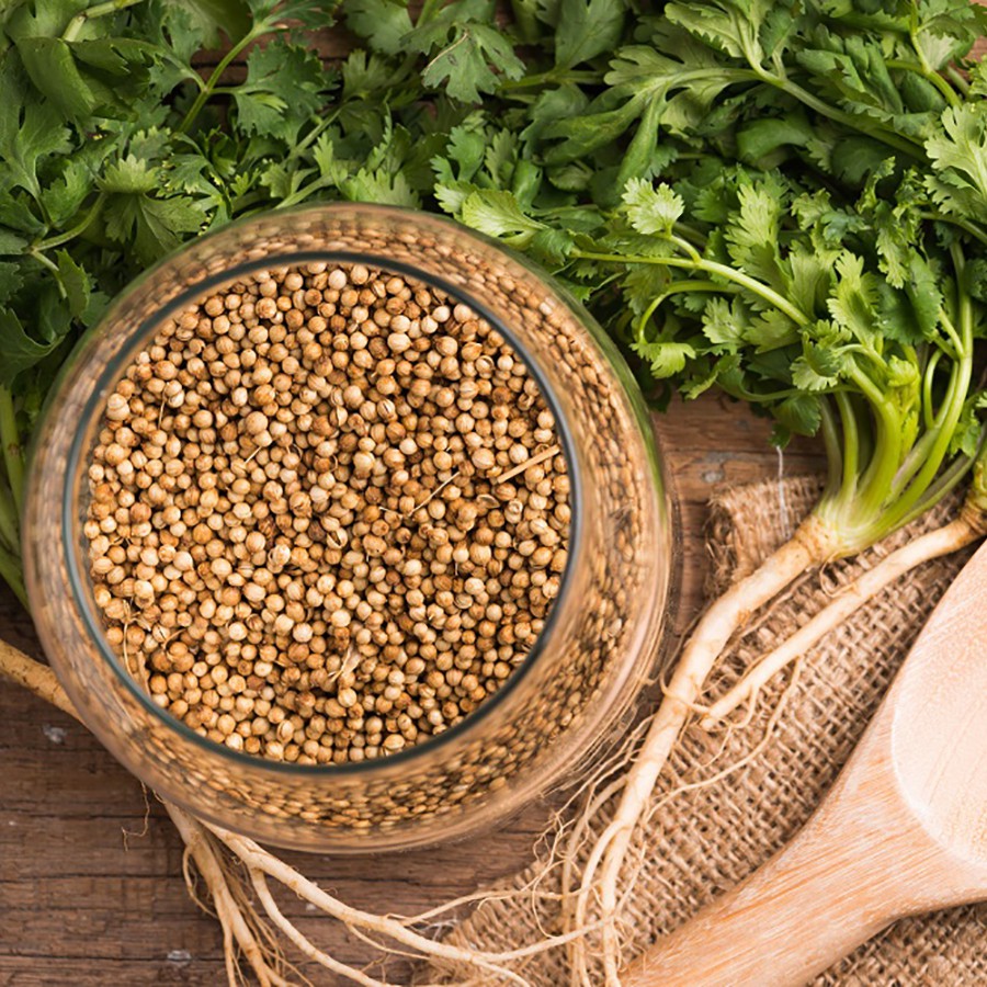 Tinh Dầu Mùi Già (Lá Mùi) - Coriander Essential Oil - Hoa Thơm Cỏ Lạ