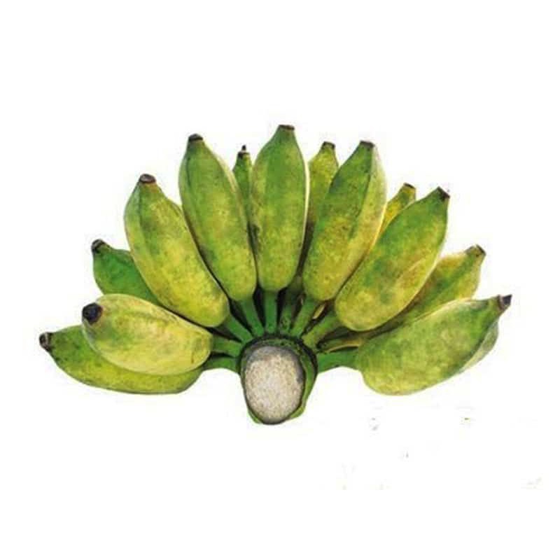 Chuối xiêm 1 nải - 12k/1kg sầu riêng sỉ 18-45k/1kg tùy loại